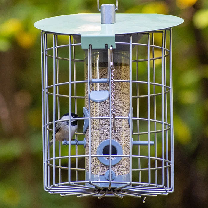 bird cage water dispenser automatic The Nuttery Roundhaus Seed Feeder, Celadon Green bird cage water dispenser automatic The Nuttery Roundhaus Seed Feeder, Celadon Green