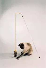 best dog raincoat with hood PURRfect Cat Toy with Feather