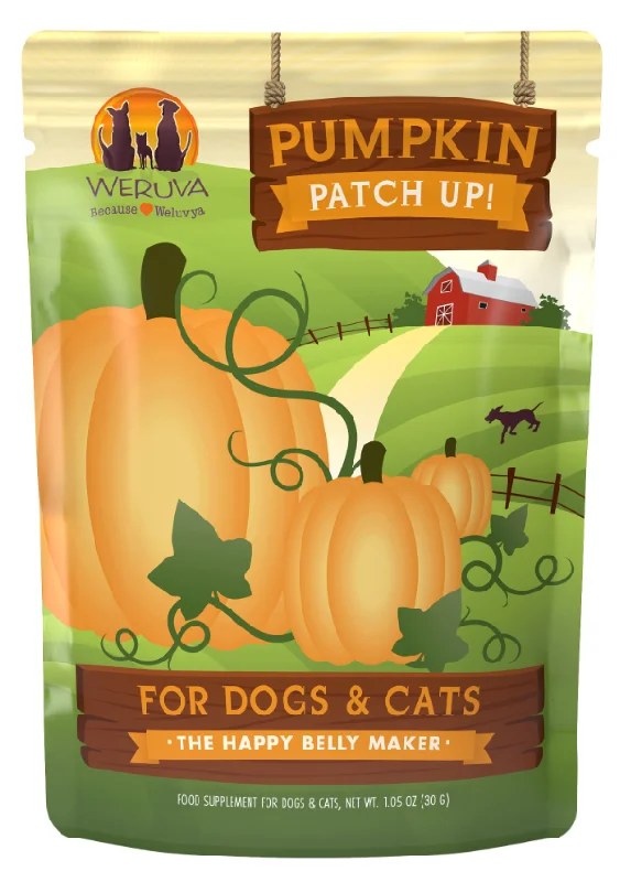 glow-in-the-dark fish tank stones Weruva Pumpkin Patch Up Supplement for Dogs and Cats glow-in-the-dark fish tank stones Weruva Pumpkin Patch Up Supplement for Dogs and Cats