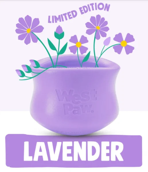 premium puppy training treats West Paw Toppl XL Lavender