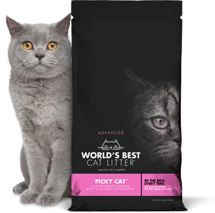 premium parrot foraging toys variety pack World's Best Picky Cat Clumping Formula Cat Litter premium parrot foraging toys variety pack World's Best Picky Cat Clumping Formula Cat Litter